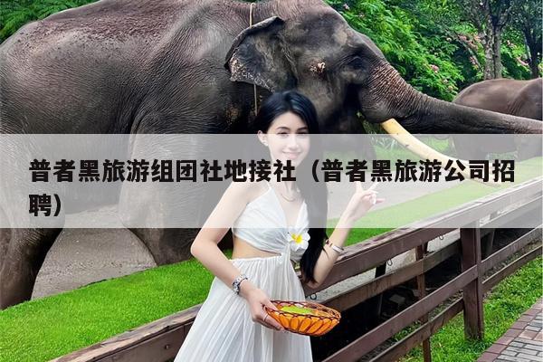 普者黑旅游组团社地接社（普者黑旅游公司招聘）