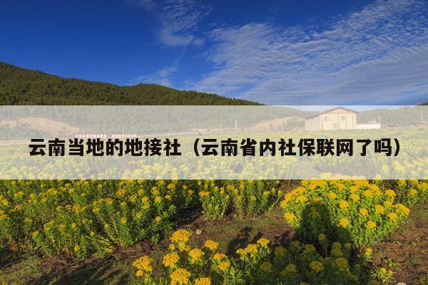 云南当地的地接社（云南省内社保联网了吗）