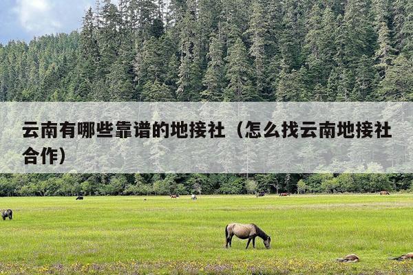 云南有哪些靠谱的地接社（怎么找云南地接社合作）