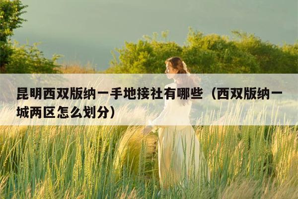 昆明西双版纳一手地接社有哪些（西双版纳一城两区怎么划分）