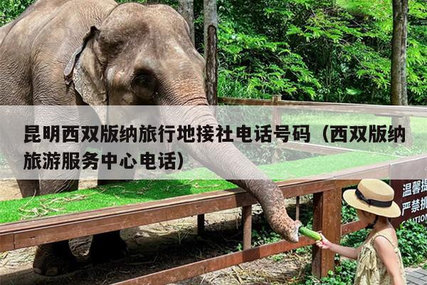 昆明西双版纳旅行地接社电话号码（西双版纳旅游服务中心电话）