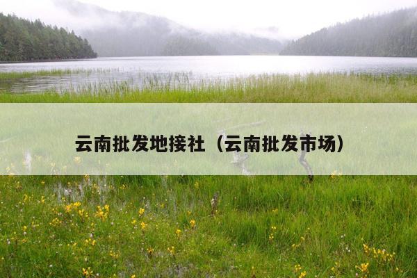 云南批发地接社（云南批发市场）