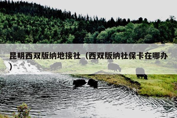 昆明西双版纳地接社（西双版纳社保卡在哪办）