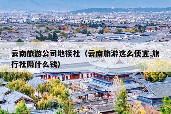 云南旅游公司地接社（云南旅游这么便宜,旅行社赚什么钱）