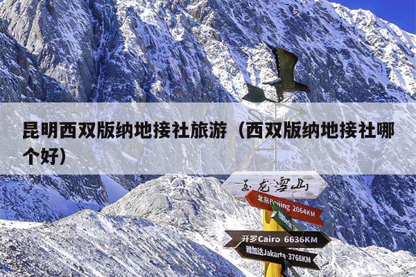 昆明西双版纳地接社旅游（西双版纳地接社哪个好）
