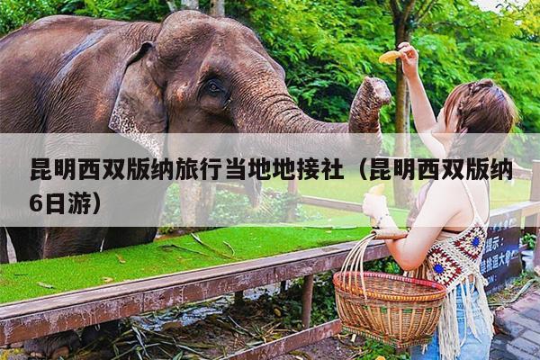 昆明西双版纳旅行当地地接社（昆明西双版纳6日游）