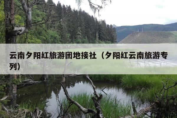 云南夕阳红旅游团地接社（夕阳红云南旅游专列）