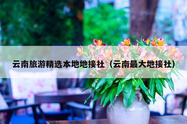 云南旅游精选本地地接社（云南最大地接社）