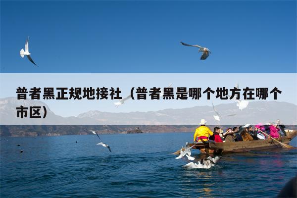 普者黑正规地接社（普者黑是哪个地方在哪个市区）