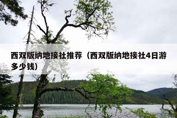 西双版纳地接社推荐（西双版纳地接社4日游多少钱）