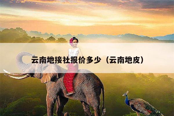 云南地接社报价多少（云南地皮）