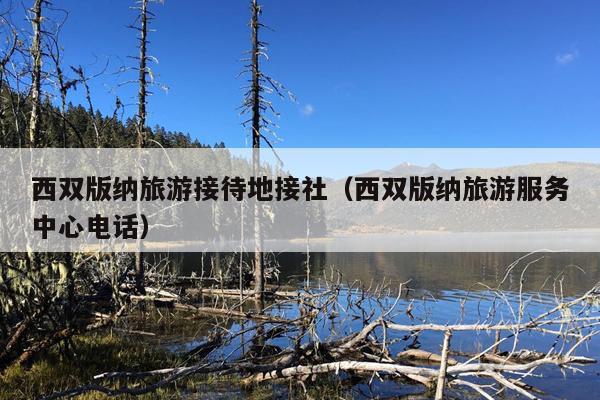 西双版纳旅游接待地接社（西双版纳旅游服务中心电话）