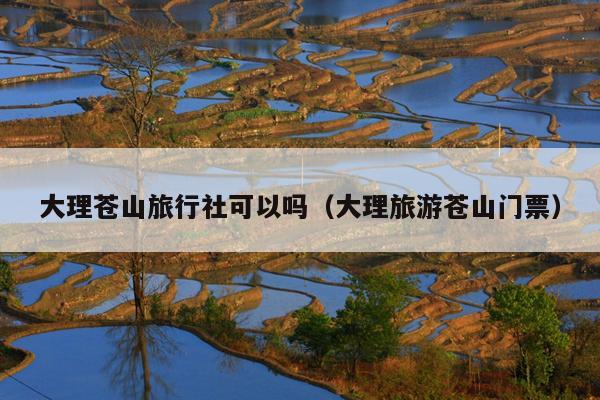 大理苍山旅行社可以吗(大理旅游苍山门票)