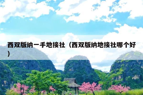 西双版纳一手地接社（西双版纳地接社哪个好）