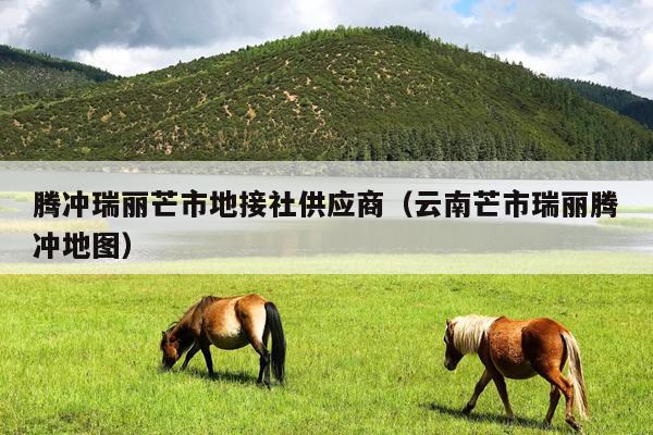 腾冲瑞丽芒市地接社供应商（云南芒市瑞丽腾冲地图）