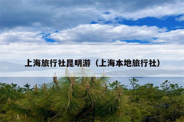 上海旅行社昆明游（上海本地旅行社）