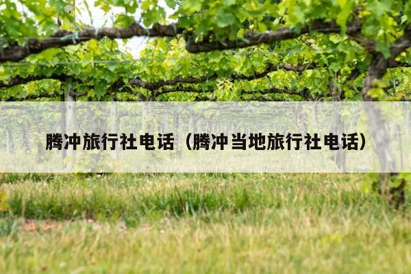 腾冲旅行社电话（腾冲当地旅行社电话）