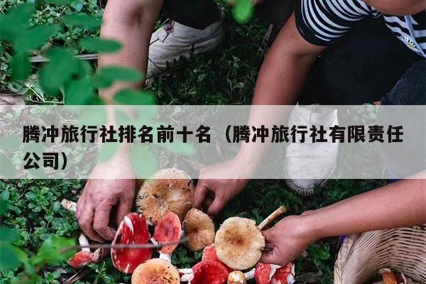 腾冲旅行社排名前十名（腾冲旅行社有限责任公司）