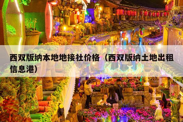 西双版纳本地地接社价格（西双版纳土地出租信息港）