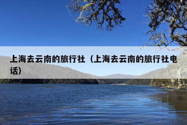 上海去云南的旅行社(上海去云南的旅行社电话)