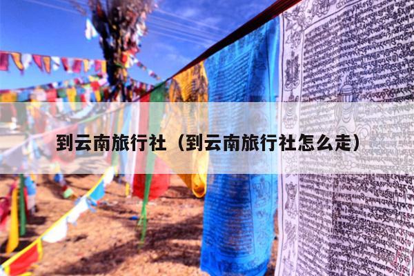 到云南旅行社（到云南旅行社怎么走）