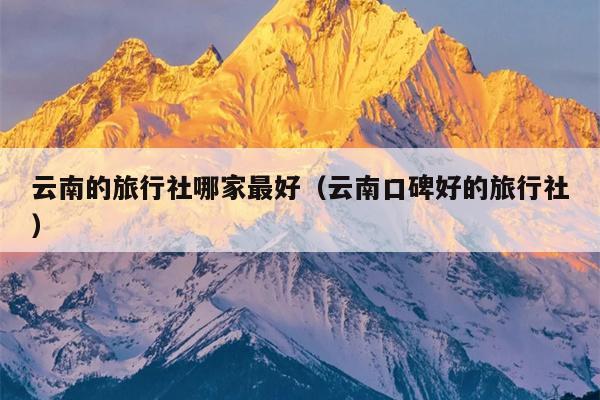 云南的旅行社哪家最好(云南口碑好的旅行社)