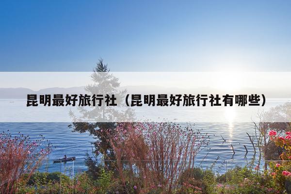 昆明最好旅行社（昆明最好旅行社有哪些）