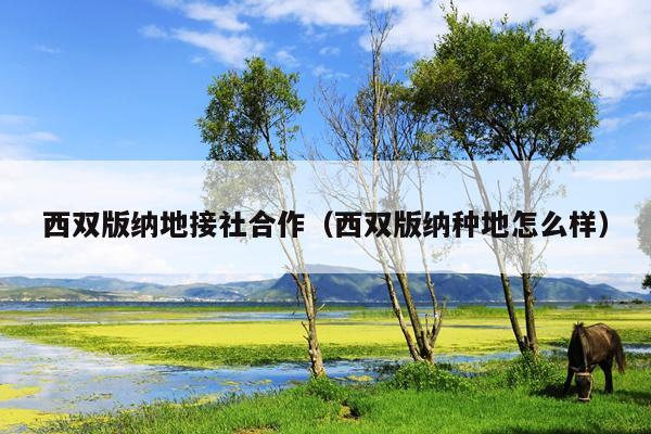 西双版纳地接社合作（西双版纳种地怎么样）