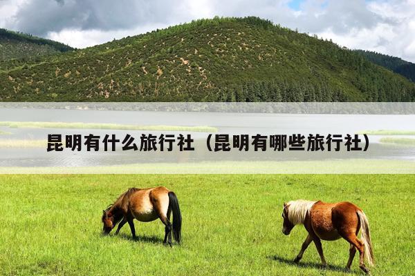 昆明有什么旅行社（昆明有哪些旅行社）