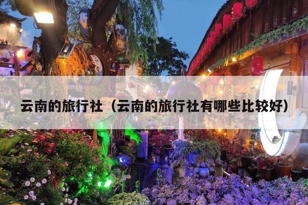 云南的旅行社(云南的旅行社有哪些比较好)
