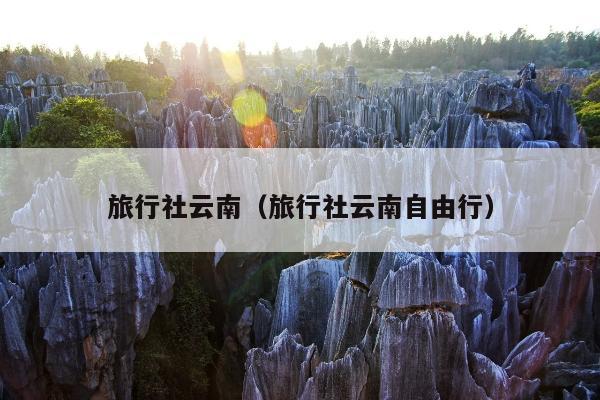 旅行社云南(旅行社云南自由行)