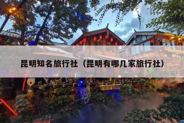 昆明知名旅行社（昆明有哪几家旅行社）