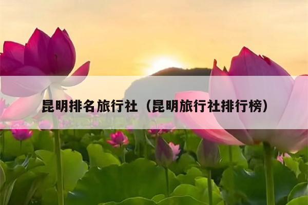 昆明排名旅行社（昆明旅行社排行榜）