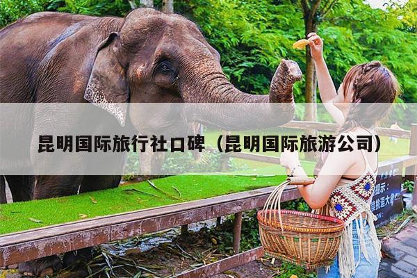 昆明国际旅行社口碑（昆明国际旅游公司）