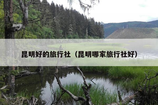 昆明好的旅行社（昆明哪家旅行社好）