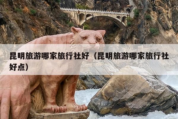 昆明旅游哪家旅行社好（昆明旅游哪家旅行社好点）