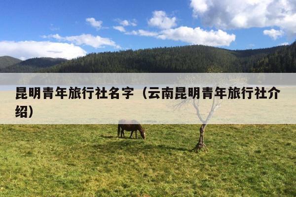 昆明青年旅行社名字（云南昆明青年旅行社介绍）