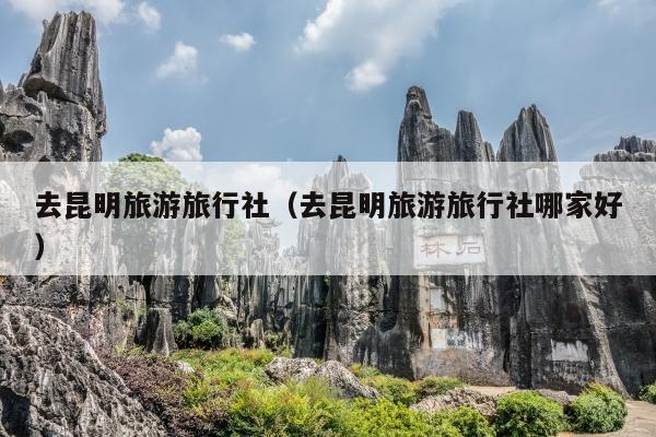 去昆明旅游旅行社（去昆明旅游旅行社哪家好）