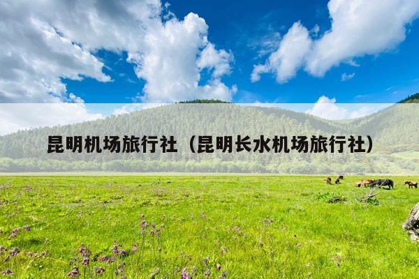 昆明机场旅行社（昆明长水机场旅行社）