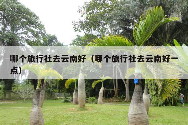 哪个旅行社去云南好(哪个旅行社去云南好一点)