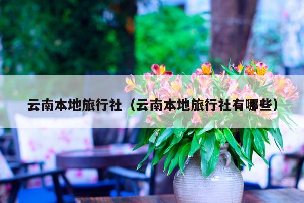 云南本地旅行社(云南本地旅行社有哪些)