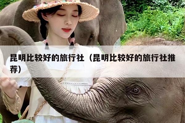 昆明比较好的旅行社（昆明比较好的旅行社推荐）
