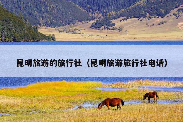 昆明旅游的旅行社（昆明旅游旅行社电话）