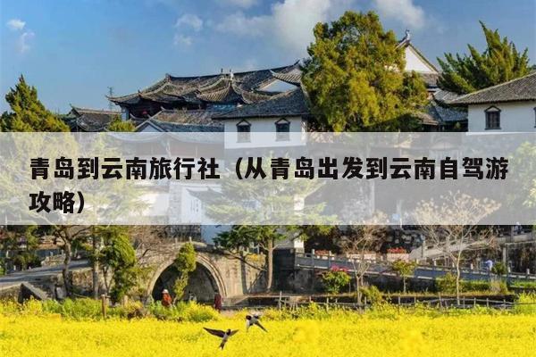 青岛到云南旅行社(从青岛出发到云南自驾游攻略)