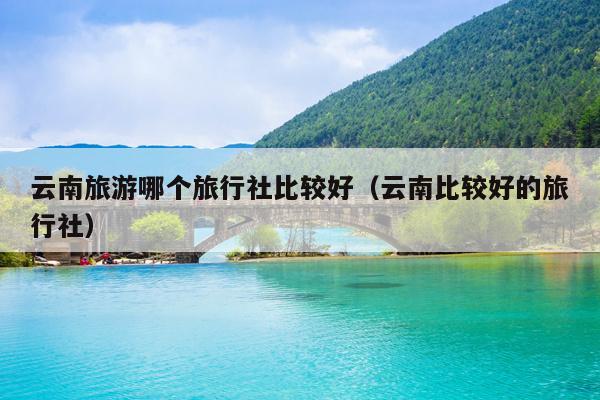 云南旅游哪个旅行社比较好(云南比较好的旅行社)