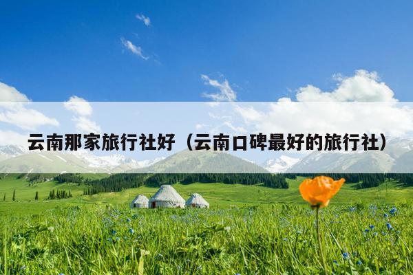 云南那家旅行社好（云南口碑最好的旅行社）