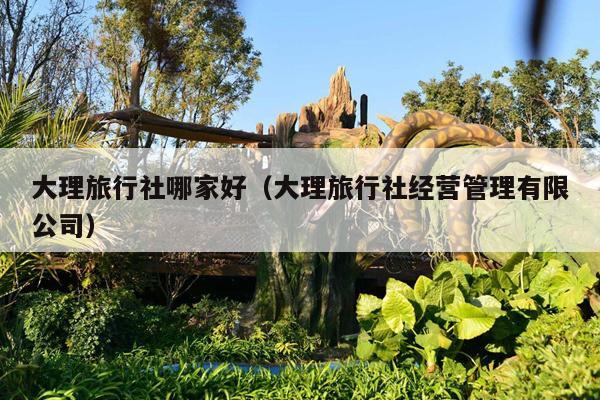 大理旅行社哪家好（大理旅行社经营管理有限公司）
