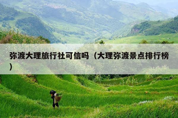 弥渡大理旅行社可信吗（大理弥渡景点排行榜）