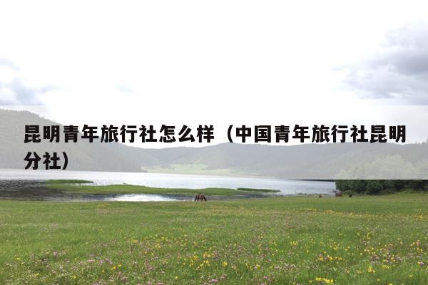 昆明青年旅行社怎么样（中国青年旅行社昆明分社）