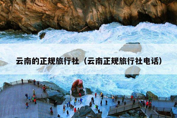 云南的正规旅行社（云南正规旅行社电话）